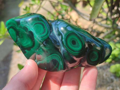 Polished and Natural Flower Banded Malachite Free Forms x 6 From Congo - Toprock Gemstones and Minerals 