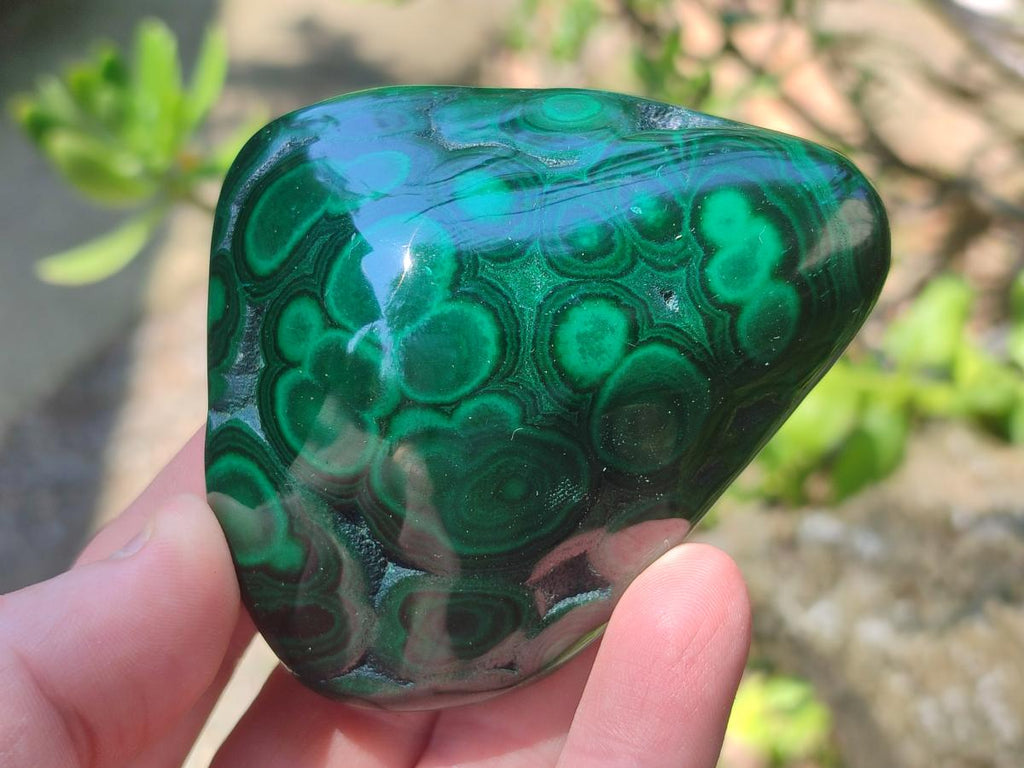 Polished and Natural Flower Banded Malachite Free Forms x 6 From Congo - Toprock Gemstones and Minerals 