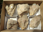 Natural Cascading White Phantom Clear Smokey Luena Quartz Clusters x 6 From Luena, Congo - Toprock Gemstones and Minerals 
