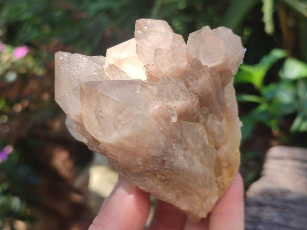 Natural Cascading White Phantom Clear Smokey Luena Quartz Clusters x 6 From Luena, Congo - Toprock Gemstones and Minerals 