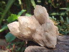 Natural Cascading White Phantom Clear Smokey Luena Quartz Clusters x 6 From Luena, Congo - Toprock Gemstones and Minerals 