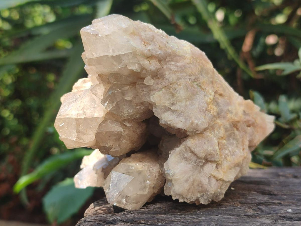 Natural Cascading White Phantom Clear Smokey Luena Quartz Clusters x 6 From Luena, Congo - Toprock Gemstones and Minerals 