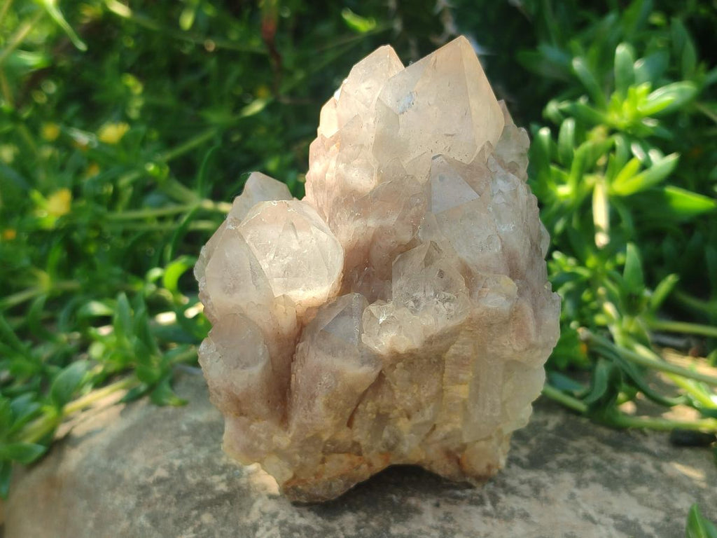 Natural Cascading White Phantom Clear Smokey Luena Quartz Clusters x 6 From Luena, Congo - Toprock Gemstones and Minerals 