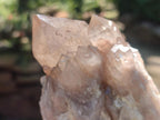 Natural Cascading White Phantom Clear Smokey Luena Quartz Clusters x 6 From Luena, Congo - Toprock Gemstones and Minerals 