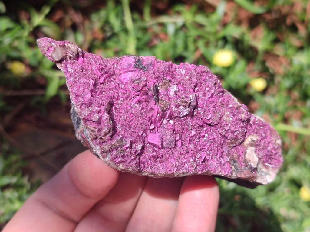 Natural Salrose Cobaltoan Dolomite Specimens x 6 From Kakanda, Congo - Toprock Gemstones and Minerals 