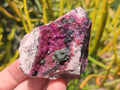Natural Salrose Cobaltoan Dolomite Specimens x 6 From Kakanda, Congo - Toprock Gemstones and Minerals 