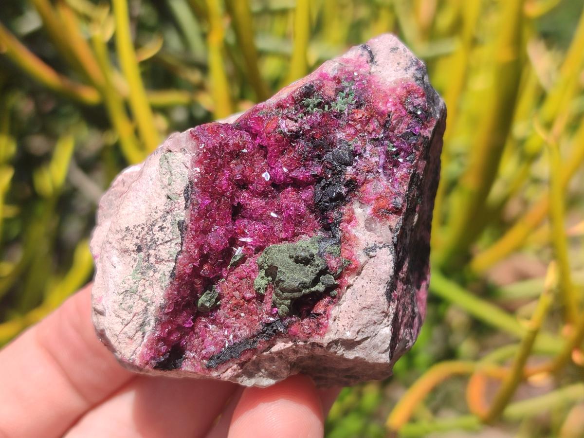 Natural Salrose Cobaltoan Dolomite Specimens x 6 From Kakanda, Congo - Toprock Gemstones and Minerals 
