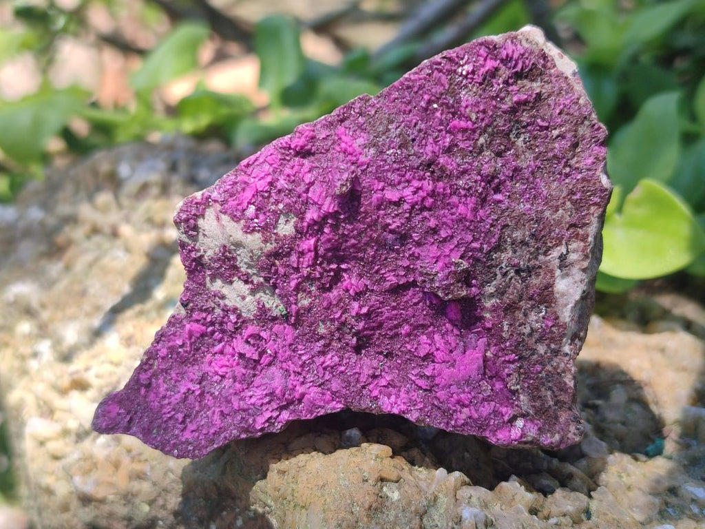 Natural Salrose Cobaltoan Dolomite Specimens x 6 From Kakanda, Congo - Toprock Gemstones and Minerals 