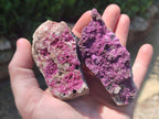 Natural Salrose Cobaltoan Dolomite Specimens x 6 From Kakanda, Congo - Toprock Gemstones and Minerals 