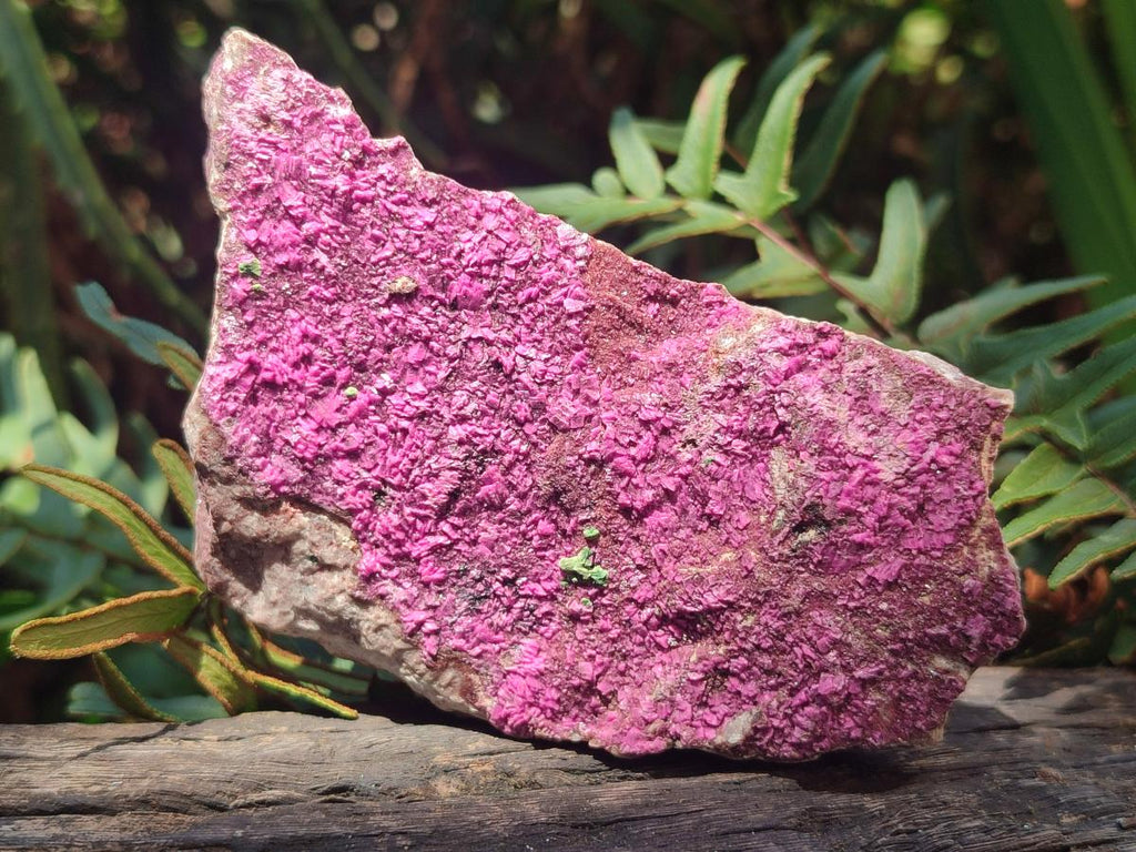 Natural Salrose Cobaltoan Dolomite Specimens x 6 From Kakanda, Congo - Toprock Gemstones and Minerals 
