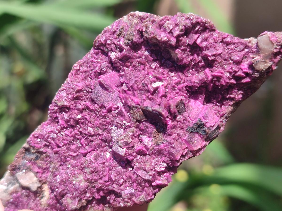 Natural Salrose Cobaltoan Dolomite Specimens x 6 From Kakanda, Congo - Toprock Gemstones and Minerals 