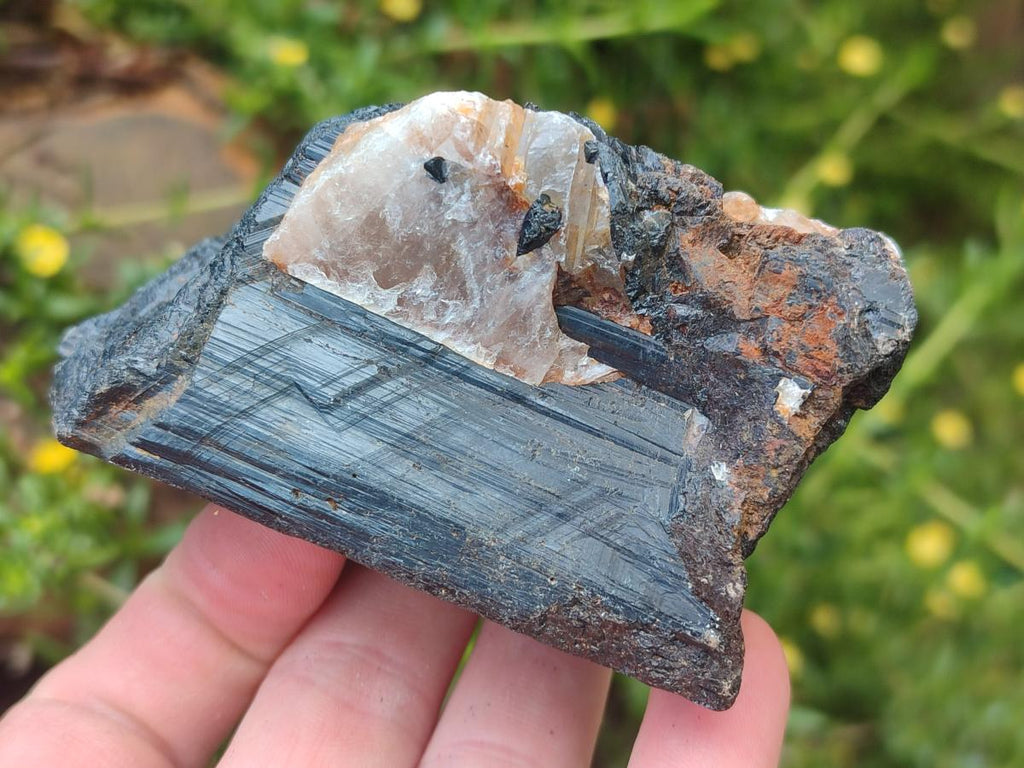 Natural Black Tourmaline Specimens in Quartz x 12 From Zimbabwe - Toprock Gemstones and Minerals 