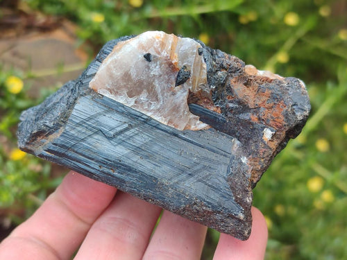 Natural Black Tourmaline Specimens in Quartz x 12 From Zimbabwe - Toprock Gemstones and Minerals 