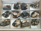 Natural Black Tourmaline Specimens in Quartz x 12 From Zimbabwe - Toprock Gemstones and Minerals 