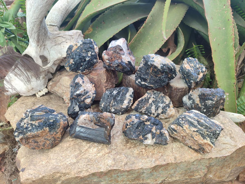 Natural Black Tourmaline Specimens in Quartz x 12 From Zimbabwe - Toprock Gemstones and Minerals 