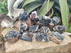Natural Black Tourmaline Specimens in Quartz x 12 From Zimbabwe - Toprock Gemstones and Minerals 