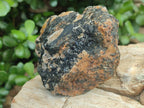 Natural Black Tourmaline Specimens in Quartz x 12 From Zimbabwe - Toprock Gemstones and Minerals 