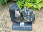 Natural Black Tourmaline Specimens in Quartz x 12 From Zimbabwe - Toprock Gemstones and Minerals 
