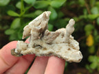 Natural Semi-Sceptre Spearhead Calcite Crystals x 35 From Albert's Mountain, Lesotho - Toprock Gemstones and Minerals 