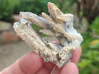 Natural Semi-Sceptre Spearhead Calcite Crystals x 35 From Albert's Mountain, Lesotho - Toprock Gemstones and Minerals 