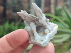 Natural Semi-Sceptre Spearhead Calcite Crystals x 35 From Albert's Mountain, Lesotho - Toprock Gemstones and Minerals 