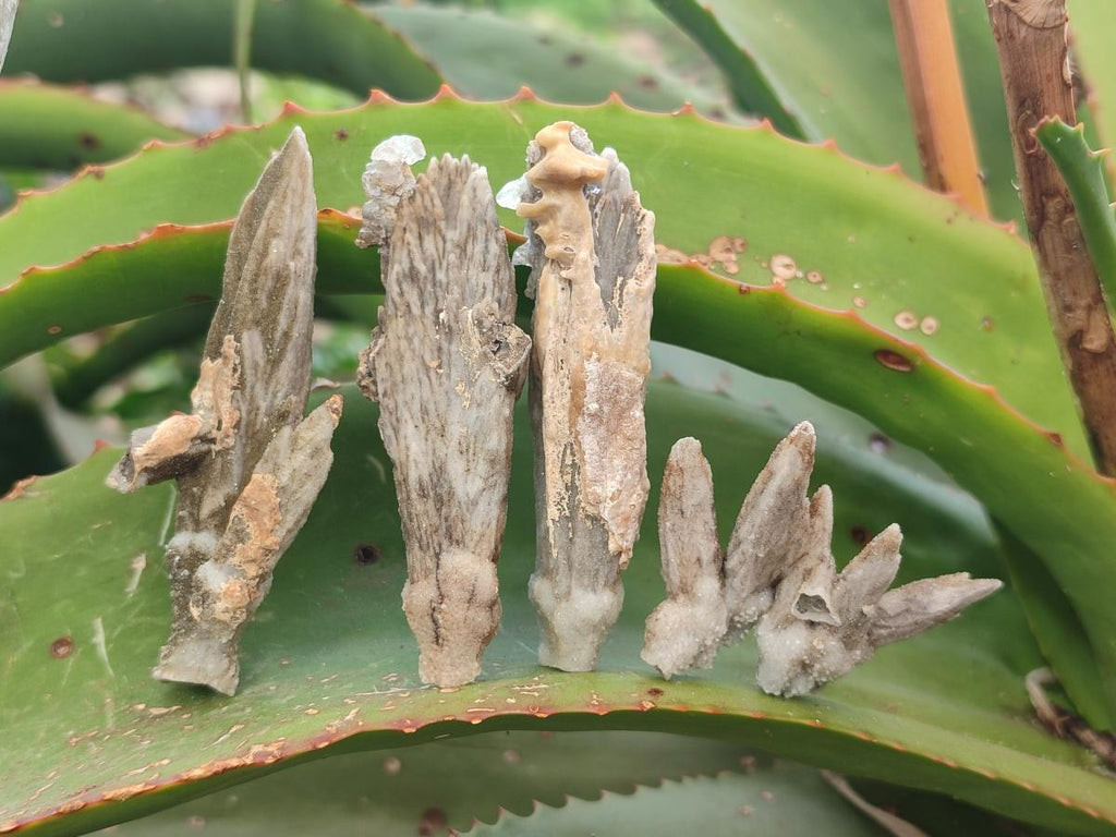 Natural Semi-Sceptre Spearhead Calcite Crystals x 35 From Albert's Mountain, Lesotho - Toprock Gemstones and Minerals 