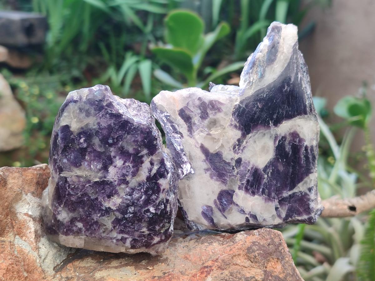 Polished One Side Silver Leaf Lepidolite Domed Nodules x 6 From Zimbabwe - Toprock Gemstones and Minerals 