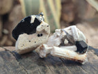 Natural Mix of Mineral Specimens x 82 From Erongo, Namibia - Toprock Gemstones and Minerals 