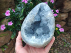 Polished and Natural Large Blue Celestite Egg x 1 From Sakoany, Madagascar - Toprock Gemstones and Minerals 