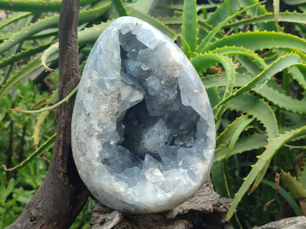 Polished and Natural Large Blue Celestite Egg x 1 From Sakoany, Madagascar - Toprock Gemstones and Minerals 