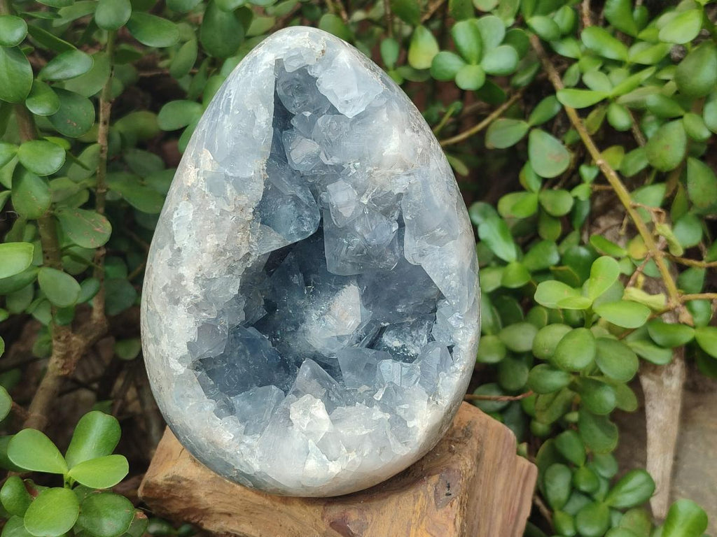 Polished and Natural Large Blue Celestite Egg x 1 From Sakoany, Madagascar - Toprock Gemstones and Minerals 