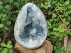 Polished and Natural Large Blue Celestite Egg x 1 From Sakoany, Madagascar - Toprock Gemstones and Minerals 