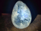 Polished and Natural Large Blue Celestite Egg x 1 From Sakoany, Madagascar - Toprock Gemstones and Minerals 
