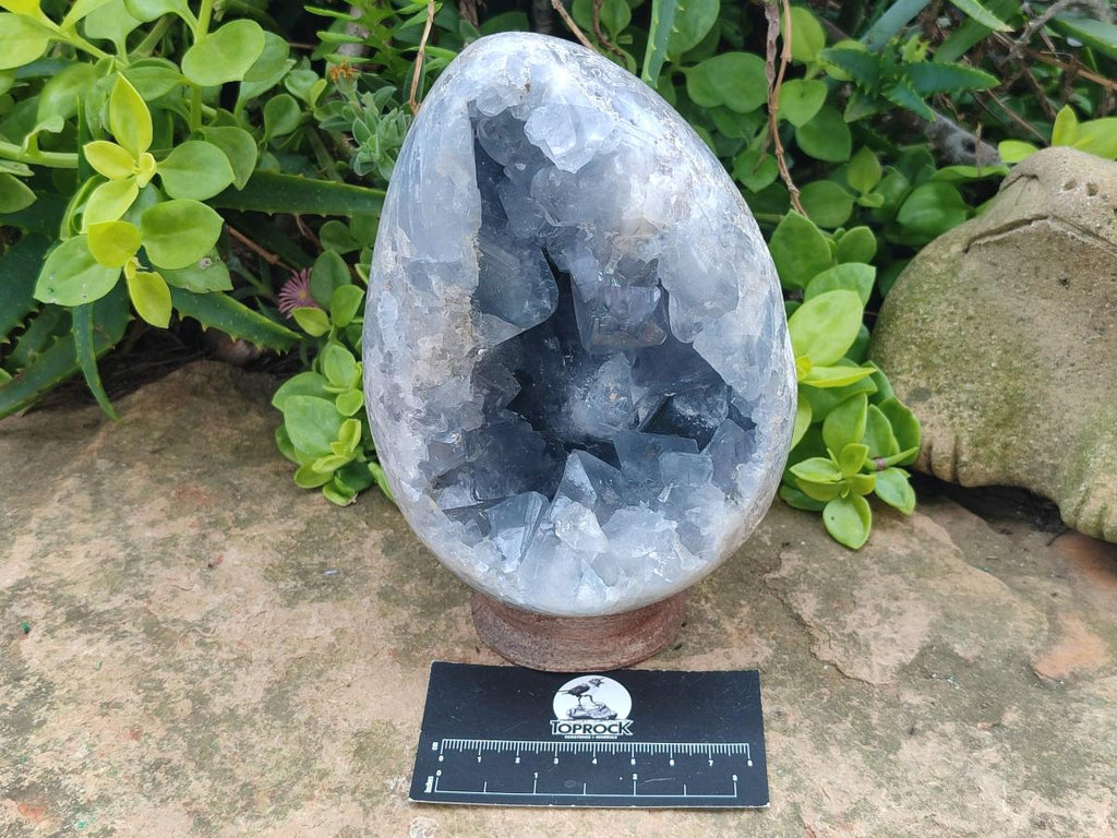 Polished and Natural Large Blue Celestite Egg x 1 From Sakoany, Madagascar - Toprock Gemstones and Minerals 