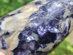 Polished Lepidolite Standing Display Pieces x 6 From Zimbabwe - Toprock Gemstones and Minerals 