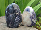 Polished Lepidolite Standing Display Pieces x 6 From Zimbabwe - Toprock Gemstones and Minerals 
