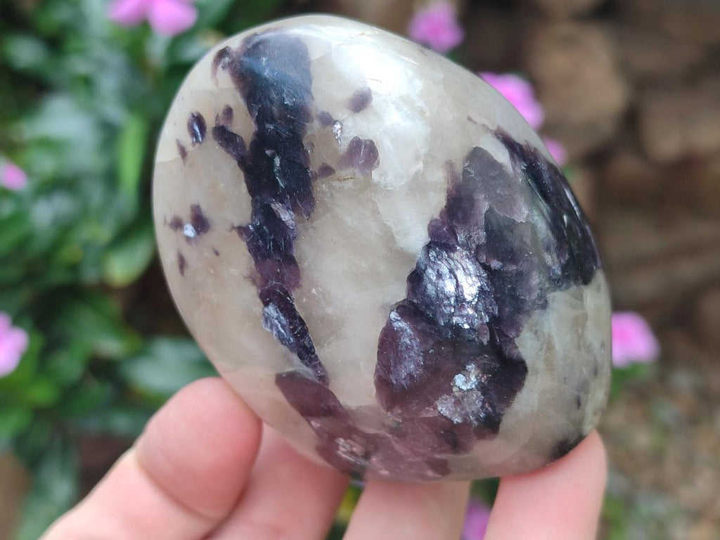 Polished Lepidolite Standing Display Pieces x 6 From Zimbabwe - Toprock Gemstones and Minerals 