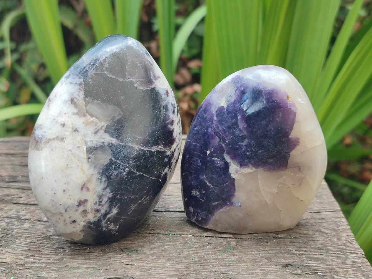 Polished Lepidolite Standing Display Pieces x 6 From Zimbabwe - Toprock Gemstones and Minerals 