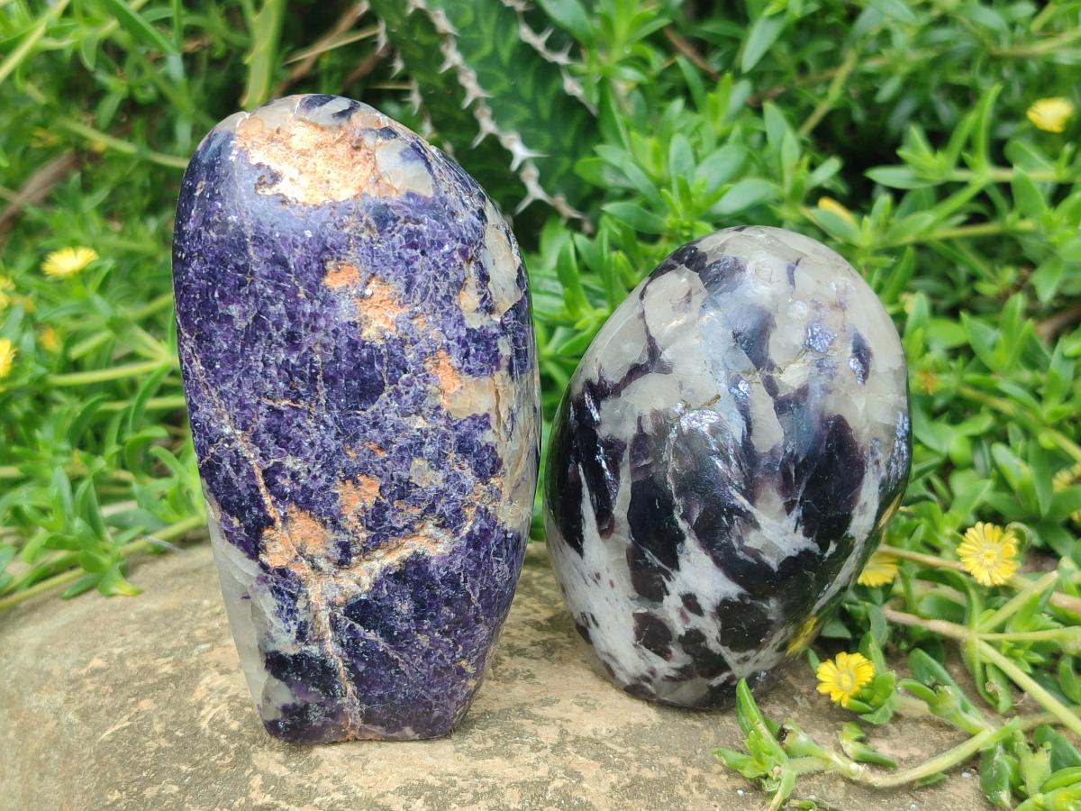 Polished Lepidolite Standing Display Pieces x 6 From Zimbabwe - Toprock Gemstones and Minerals 