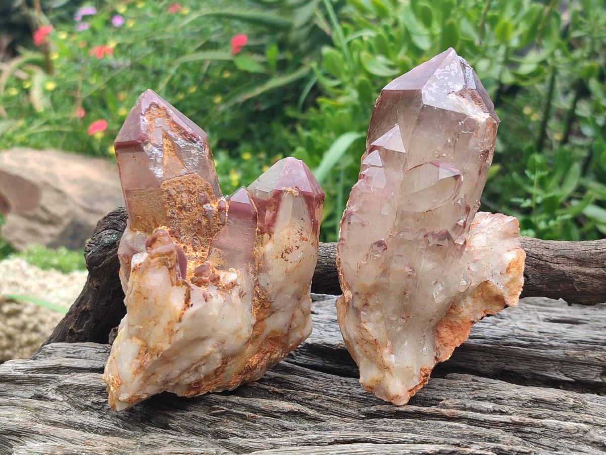 Natural Red Hematoid Quartz Crystals and Clusters x 6 From Karoi, Zimbabwe - Toprock Gemstones and Minerals 