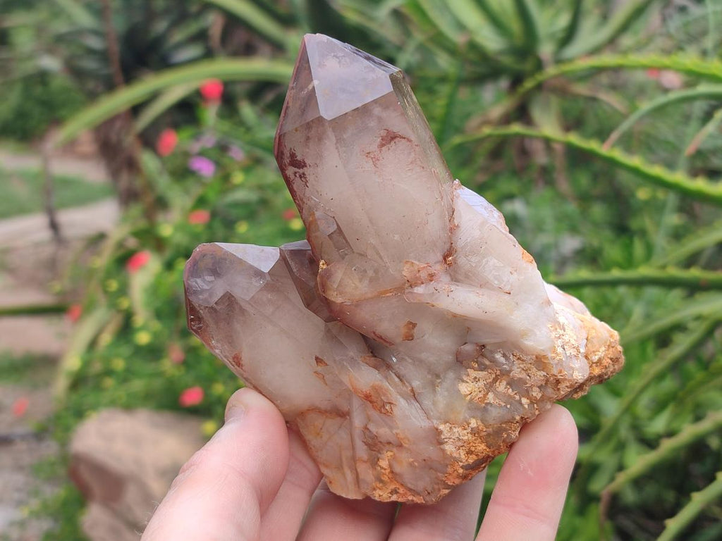 Natural Red Hematoid Quartz Crystals and Clusters x 6 From Karoi, Zimbabwe - Toprock Gemstones and Minerals 