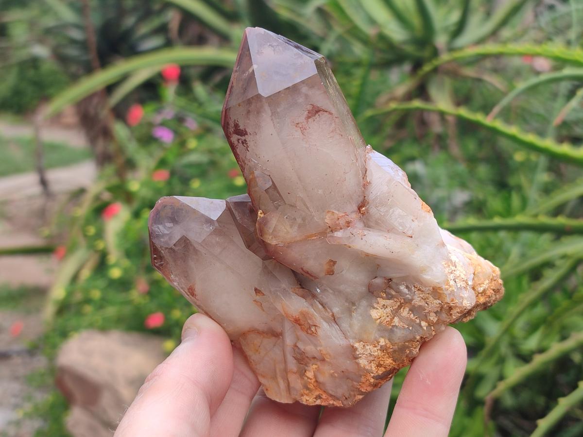 Natural Red Hematoid Quartz Crystals and Clusters x 6 From Karoi, Zimbabwe - Toprock Gemstones and Minerals 