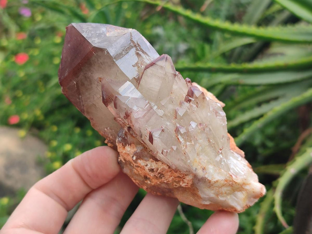 Natural Red Hematoid Quartz Crystals and Clusters x 6 From Karoi, Zimbabwe - Toprock Gemstones and Minerals 