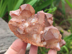 Natural Red Hematoid Quartz Crystals and Clusters x 6 From Karoi, Zimbabwe - Toprock Gemstones and Minerals 