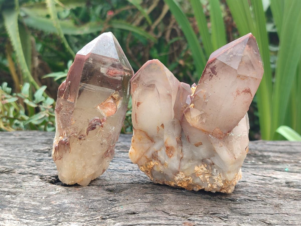 Natural Red Hematoid Quartz Crystals and Clusters x 6 From Karoi, Zimbabwe - Toprock Gemstones and Minerals 