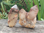 Natural Red Hematoid Quartz Crystals and Clusters x 6 From Karoi, Zimbabwe - Toprock Gemstones and Minerals 