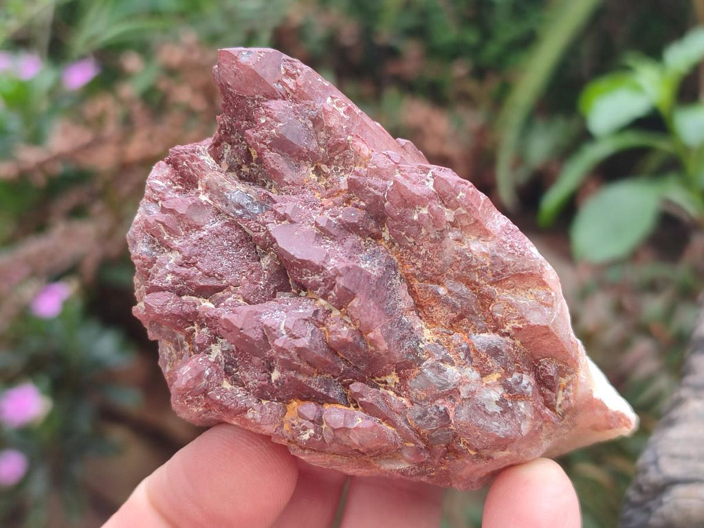 Natural Red Hematoid Quartz Crystals and Clusters x 6 From Karoi, Zimbabwe - Toprock Gemstones and Minerals 