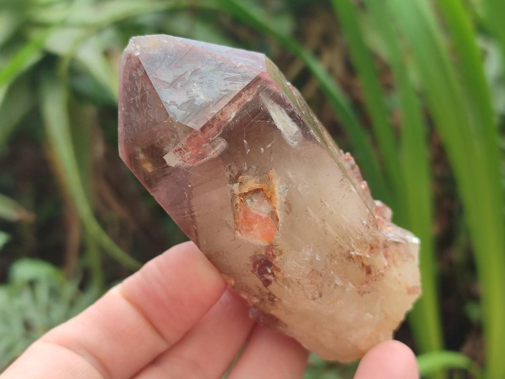 Natural Red Hematoid Quartz Crystals and Clusters x 6 From Karoi, Zimbabwe - Toprock Gemstones and Minerals 