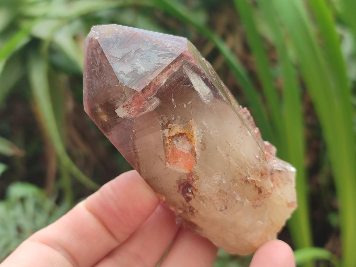 Natural Red Hematoid Quartz Crystals and Clusters x 6 From Karoi, Zimbabwe - Toprock Gemstones and Minerals 