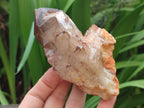 Natural Red Hematoid Quartz Crystals and Clusters x 6 From Karoi, Zimbabwe - Toprock Gemstones and Minerals 